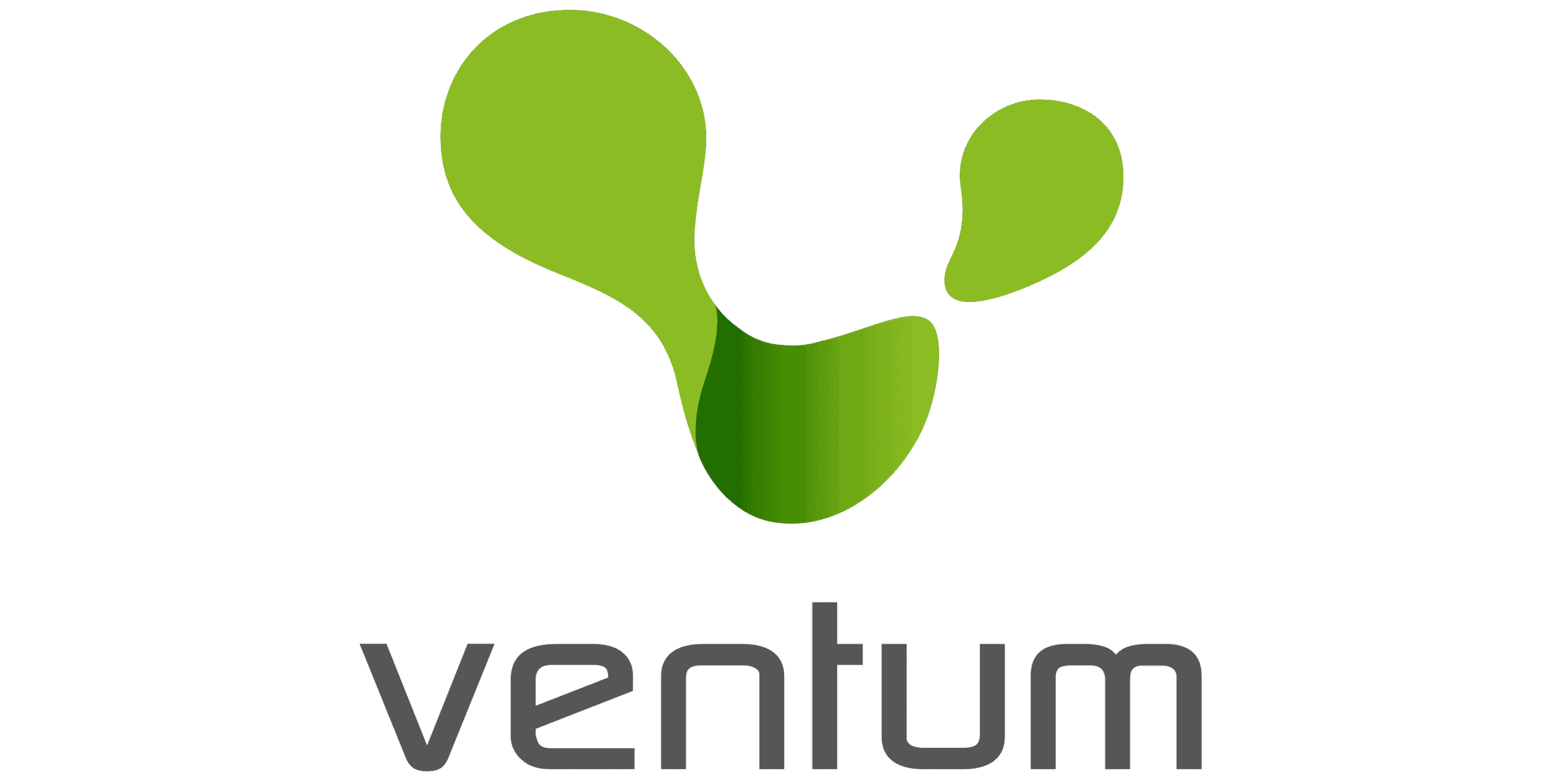 VENTUM CONSULTING